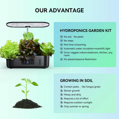 Hydroponic Garden-Your Green Oasis at Home