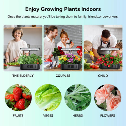 Hydroponic Garden-Your Green Oasis at Home