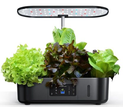 Hydroponic Garden-Your Green Oasis at Home